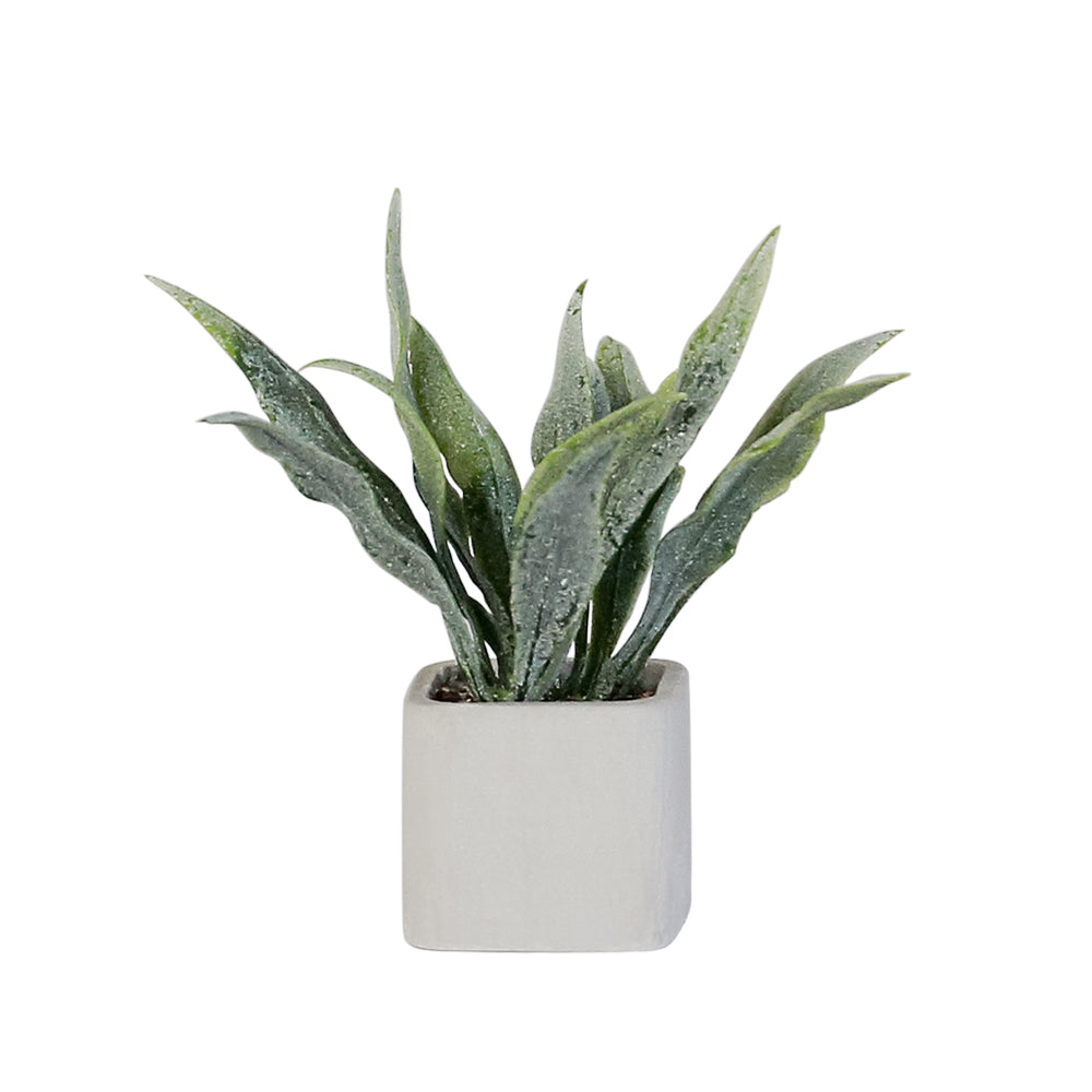 dollhouse snake plant Mini Plant-Sansevieria 1/6 Scale Dollhouse Miniature