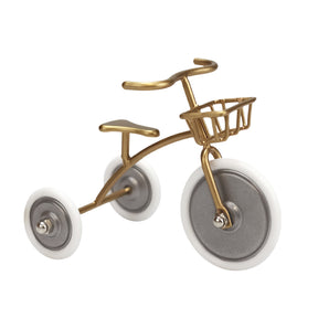 <transcy>Мини-трехколесный велосипед-Золотой</transcy>